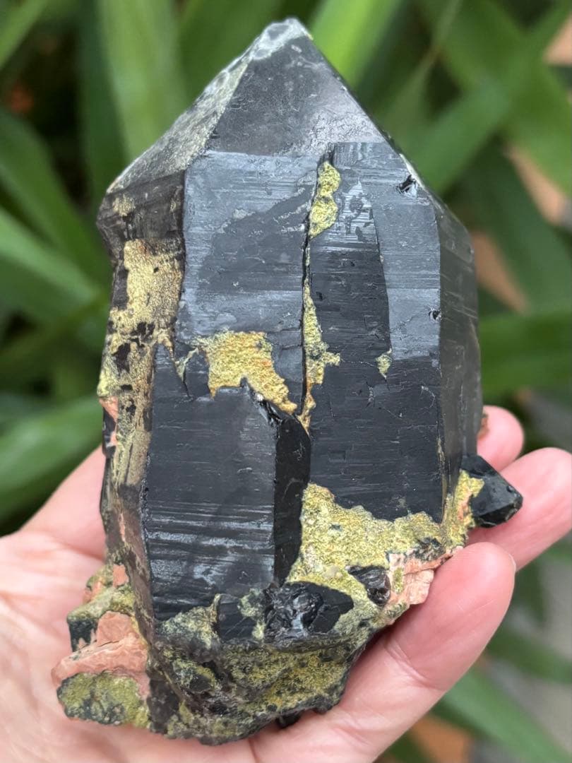 中国山東省産　モリオン　ポイント　557g エピドートあり　台座付　力強さ