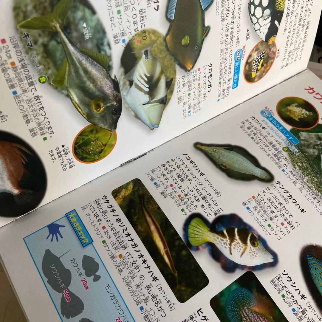 小学校の図鑑NEO 、講談社の動く図鑑15冊セット DVD12枚付き