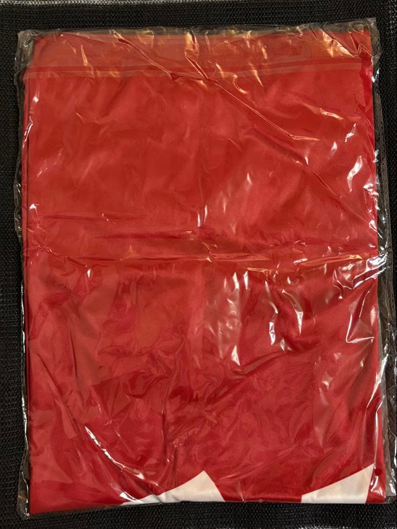 【新品未開封】鹿島アントラーズ 復刻コンフィットTシャツ LL10番