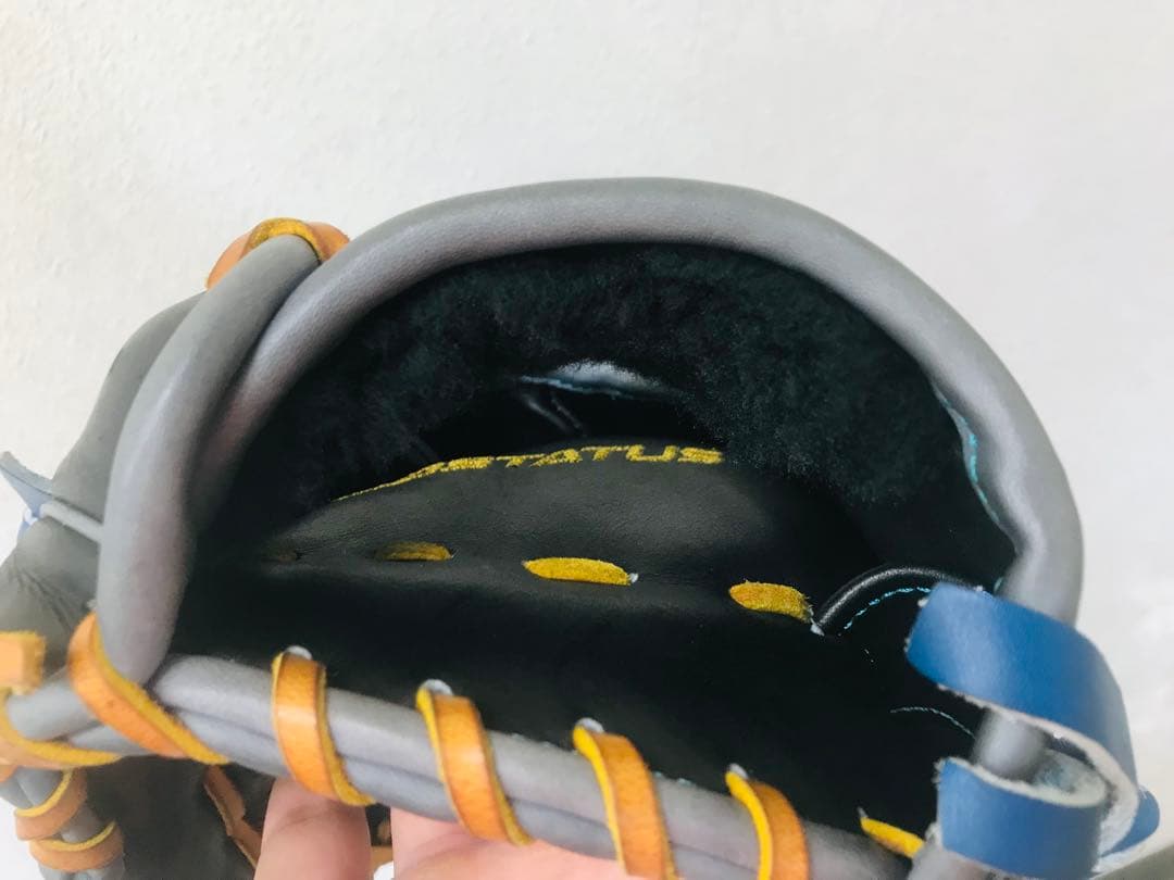 【最高級】プロステイタス　軟式オーダーグラブ