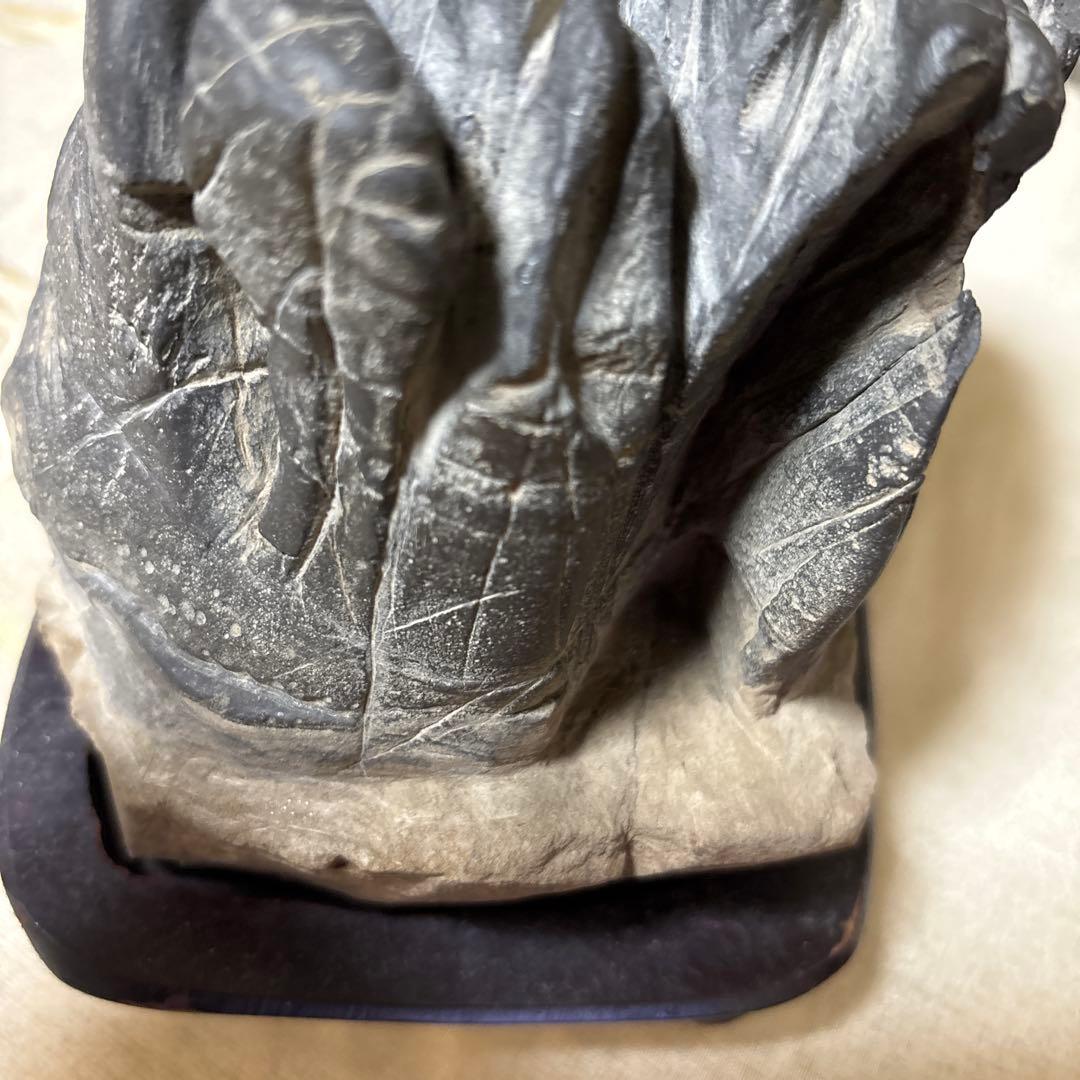 亀の形 水石 黒色 木製台座付き約3キロ