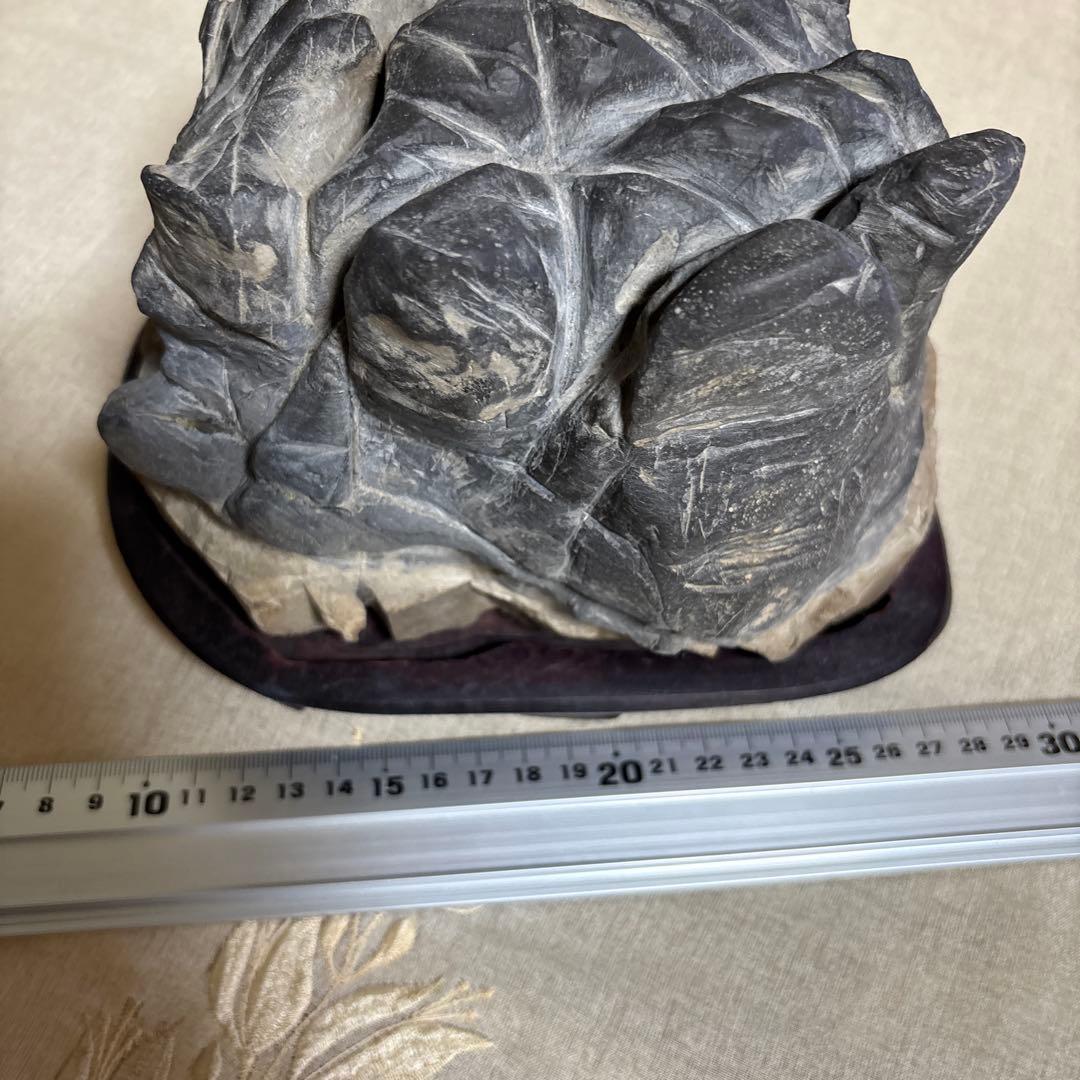 亀の形 水石 黒色 木製台座付き約3キロ