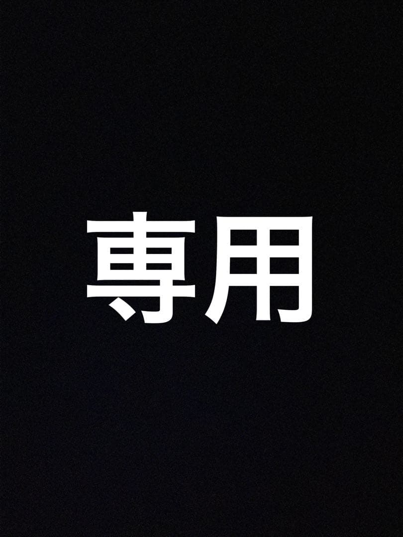 ヒロさん専用 皿　小2枚