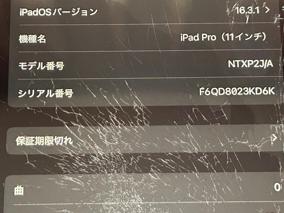 卵*様 Apple iPad pro11インチ第一世代
