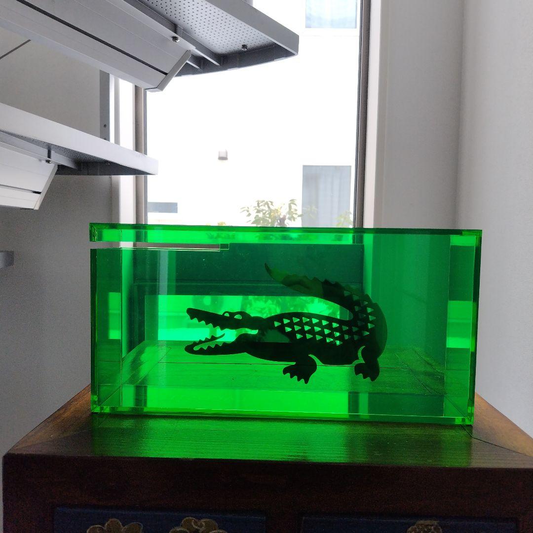 【非売品】かなりレア！LACOSTE 店舗販促用 什器 グリーンアクリルBox