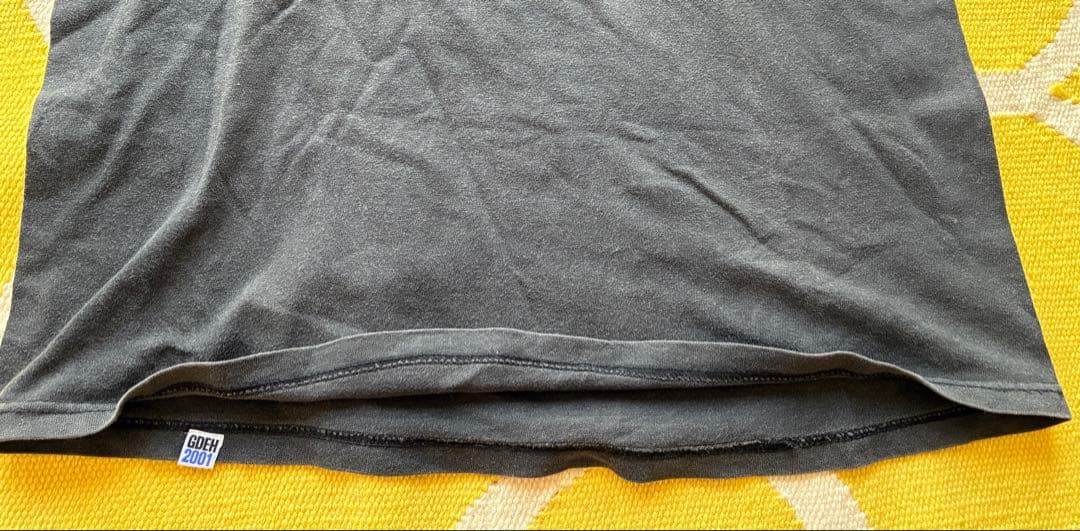 初期hanes タグ　グッドイナフ　ビンテージ Tシャツ GOODENOUGH