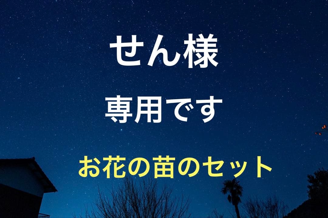 お花の苗　お任せセット