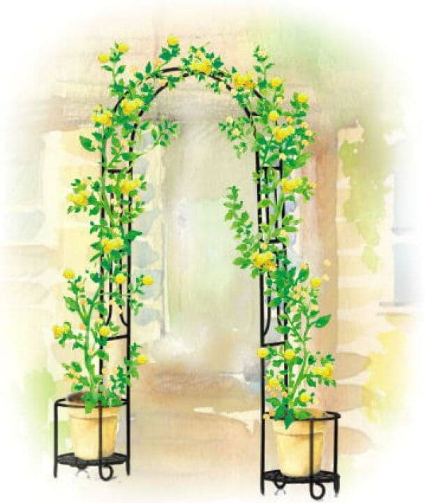 アーチ バラ クレマチス　ガーデニング 庭 ガーデンアーチ　ローズ　 薔薇アーチ