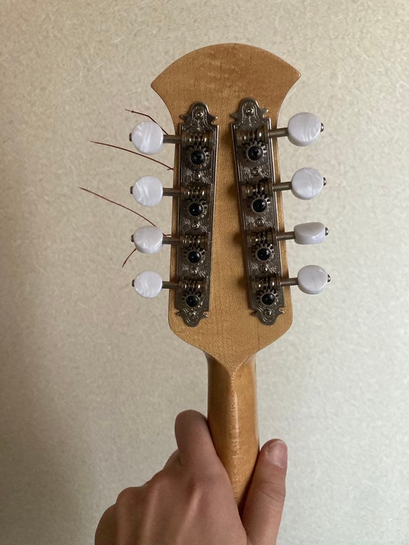 Ｓ*Ｙ様 マンドリン（サウンドエナ M-160）ケース付き