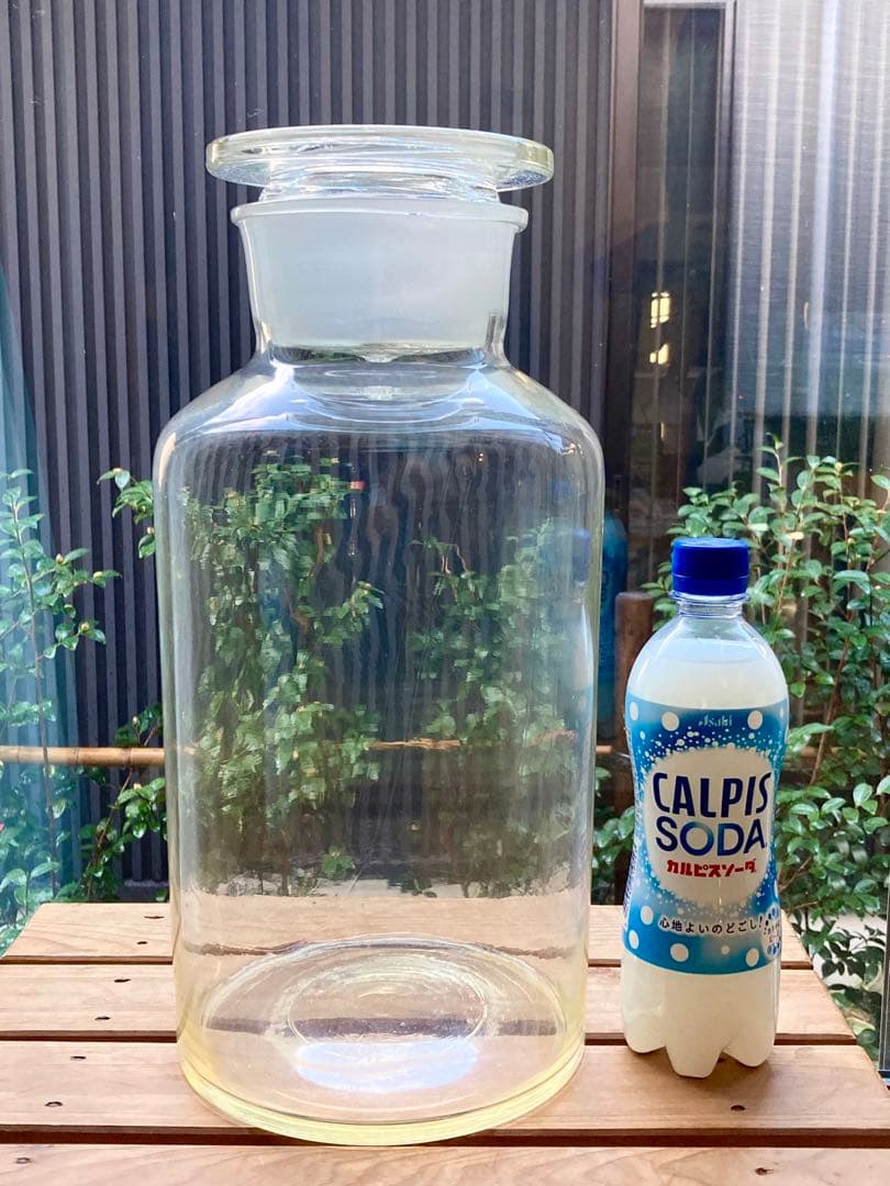 大きい試薬瓶　￼高さ約37センチ