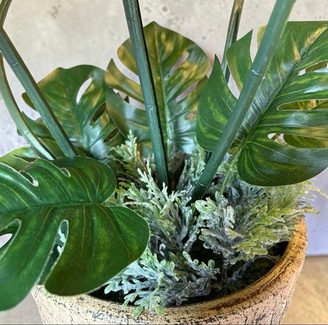 光触媒　人工観葉植物　ウォールグリーン　フェイクグリーン　バリ風特大モンステラ3