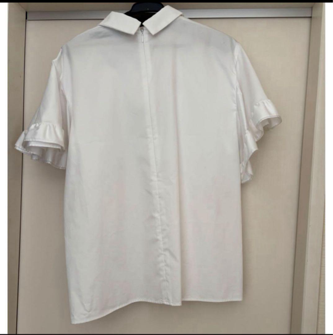 ヨーコチャン　ラッフルスリーブポイントカラーブラウス