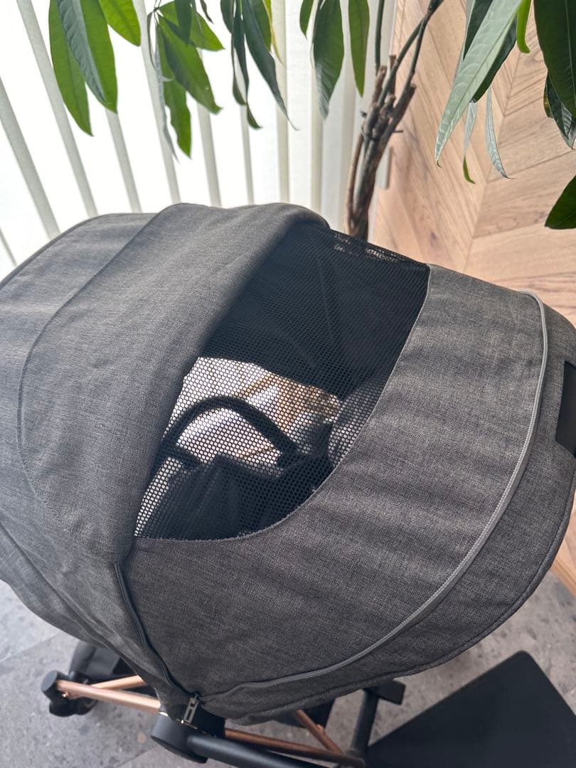 週末限定値下げ！【超美品】Cybex MIOS サイベックス ミオス ベビーカー