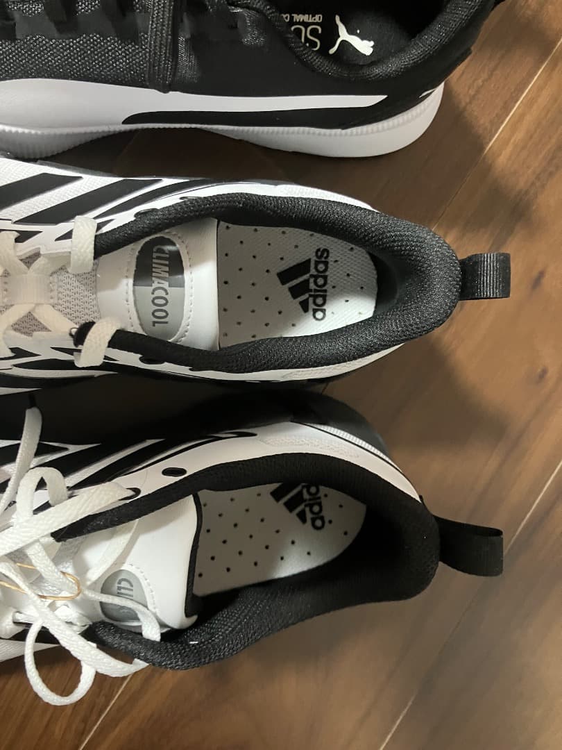 snakePuma Soft Foam & Adidas スニーカー