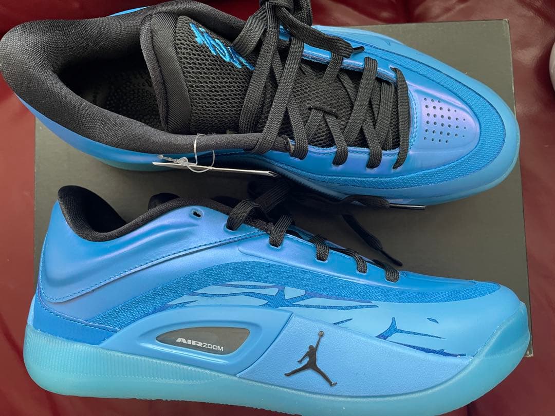 【新品】ジョーダンザイオン4PF イリディセンス　26cm