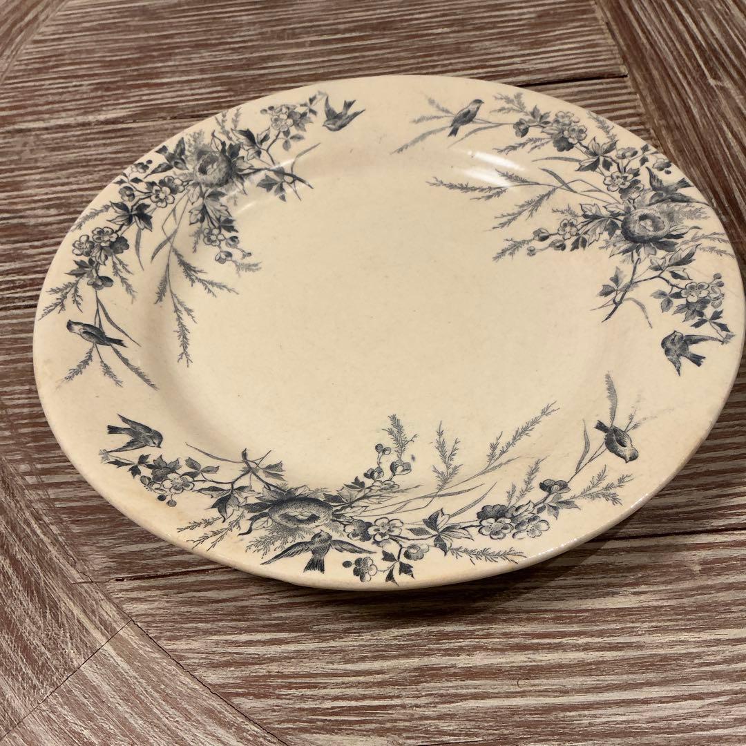 美品　フランスアンティーク　クレイユモントローリノットプレート　花　鳥