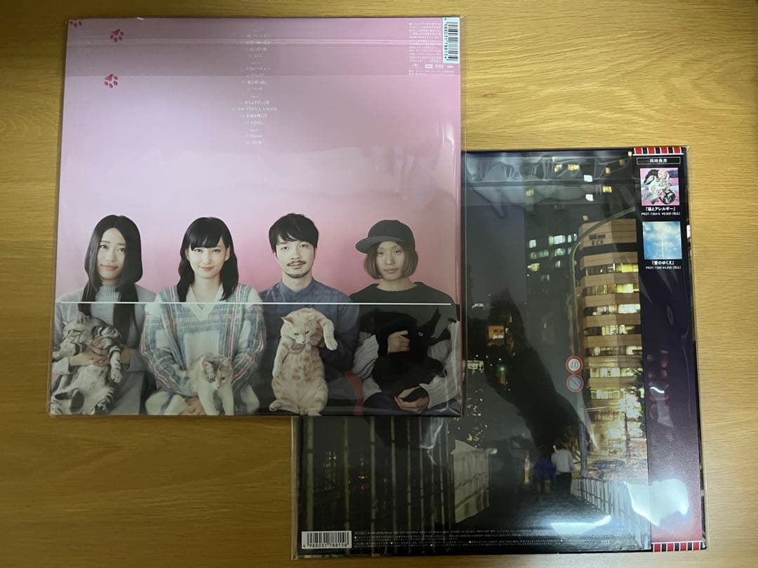 【2枚セット】きのこ帝国　レコード　猫とアレルギー　タイム・ラプス