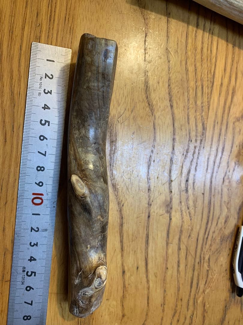 専用　限界価格に挑戦　深海宝石　超希少品　185g 虹色珊瑚（青珊瑚）深海松