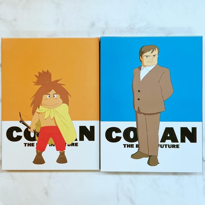 断捨離　未来少年コナン DVD　30周年　メモリアルボックス