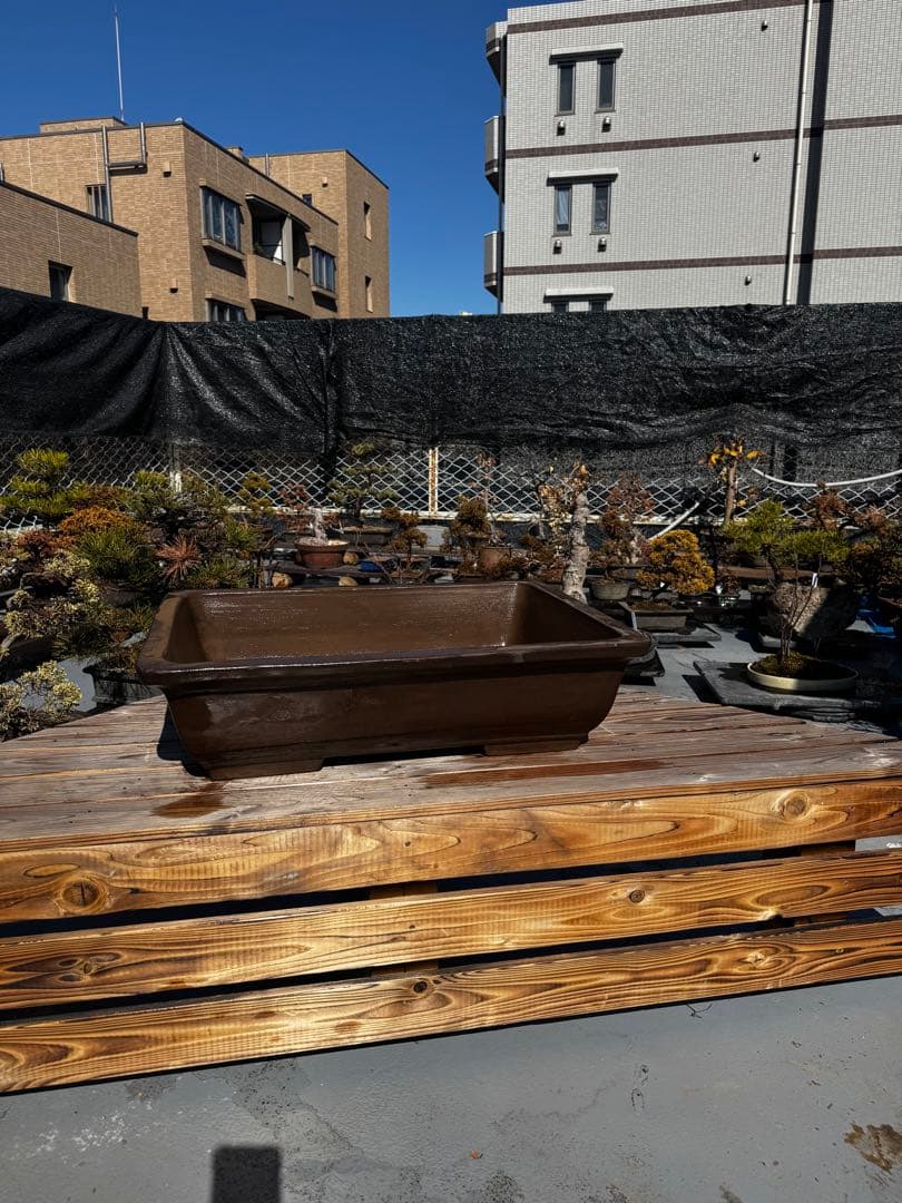 陶器製 深型盆栽鉢 ブラウン 22号