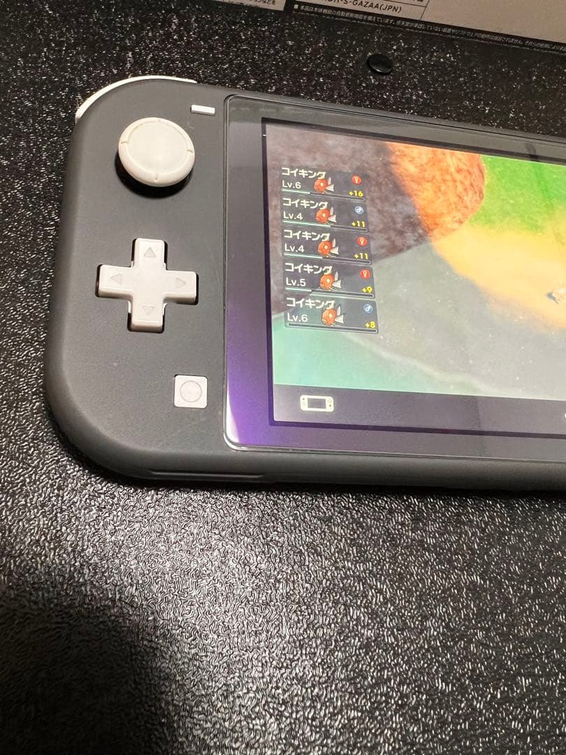 Nintendo Switch Lite 本体 動作確認済み