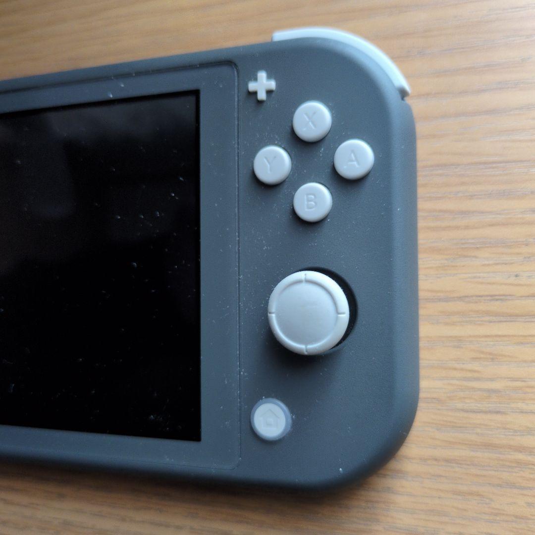 NintendoSwitchライト(本体のみ)カバー付き