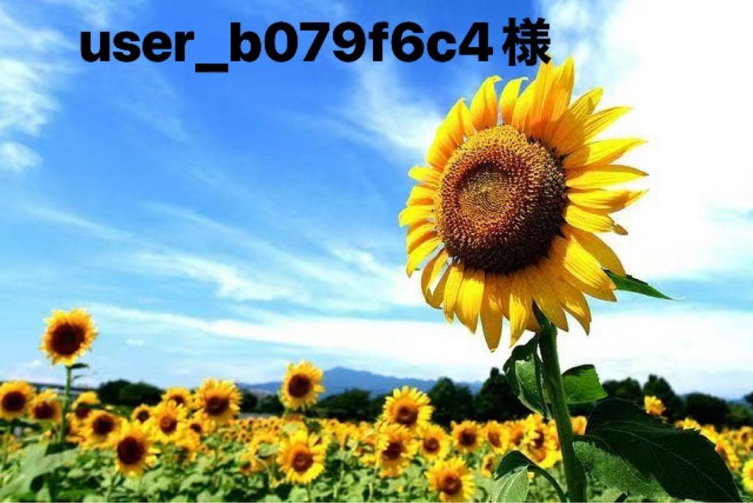 user_b079f6c4様