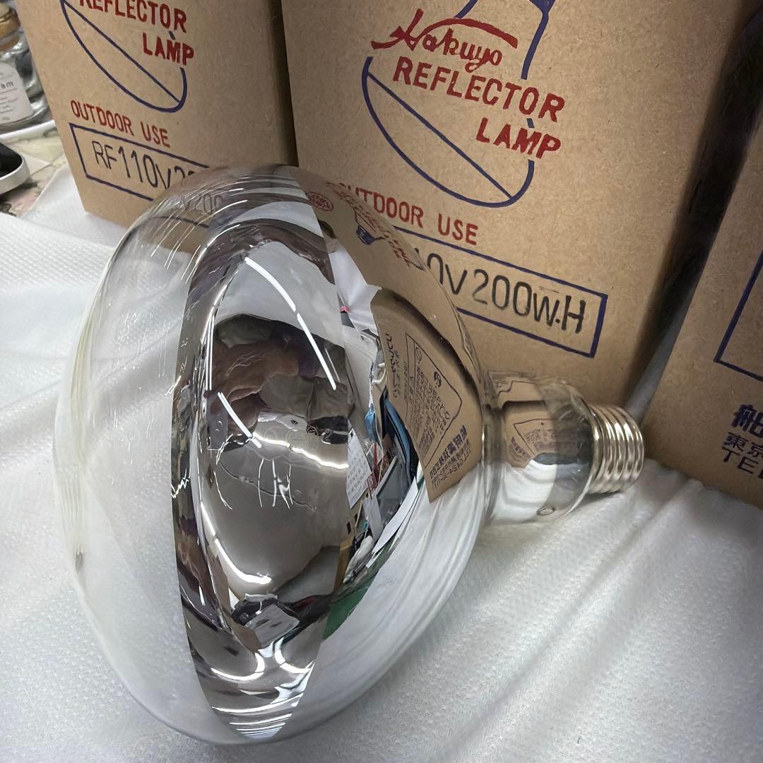 屋外・散光形　Hakuyo リフレクターランプ RF110V200W 4箱