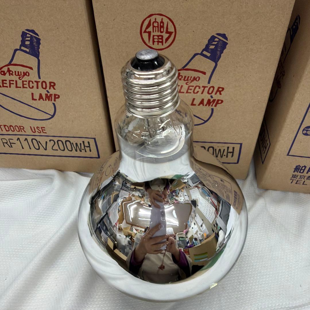 屋外・散光形　Hakuyo リフレクターランプ RF110V200W 4箱