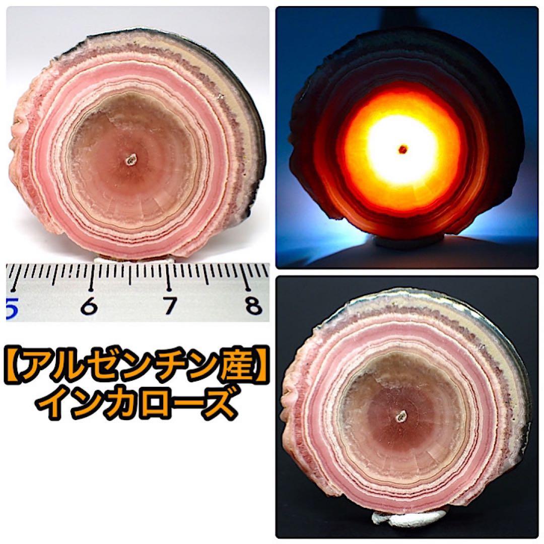 【アルゼンチン産】インカローズ