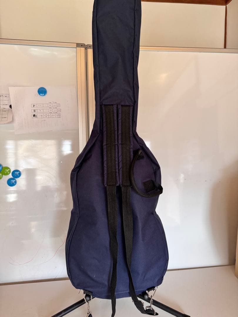 Epiphone Les Paul Special VE ギグバッグ付