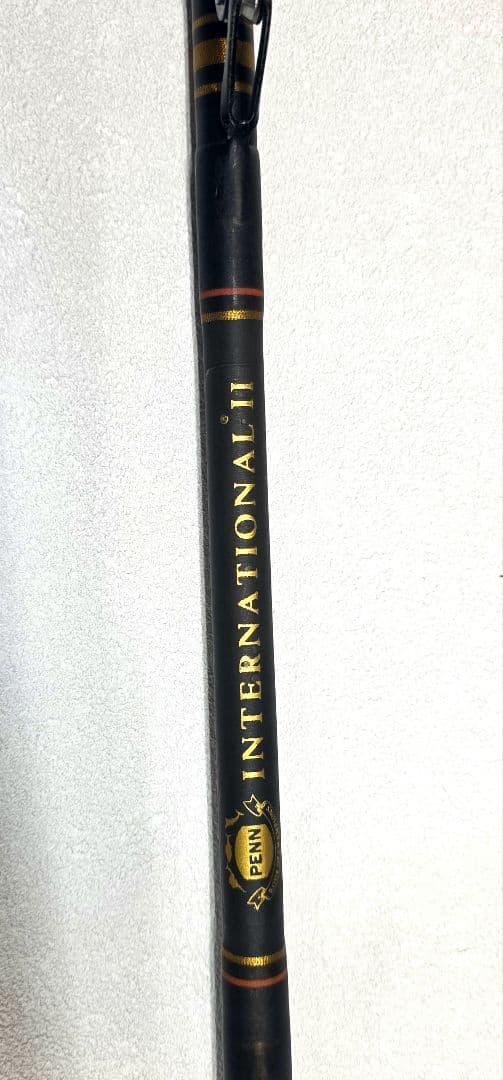ペンロッド　インターナショナル2　50lb