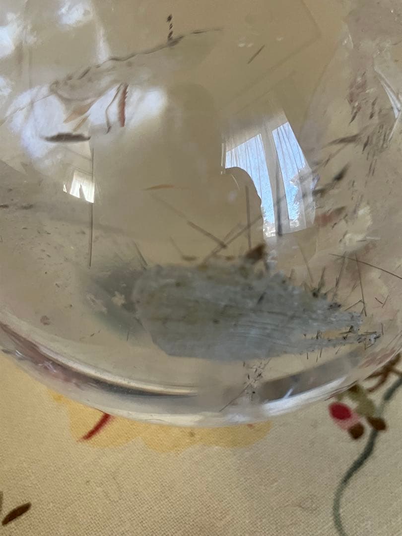 大！ホワイトガーデン&レインボー入り　水晶　スフィア　天然石置物　E191