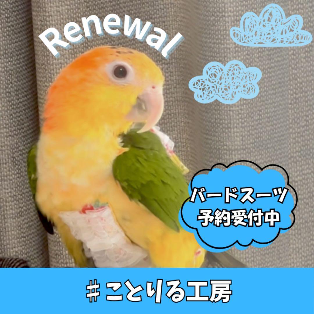 『 オーダー予約受付中 』 バードスーツ Part2