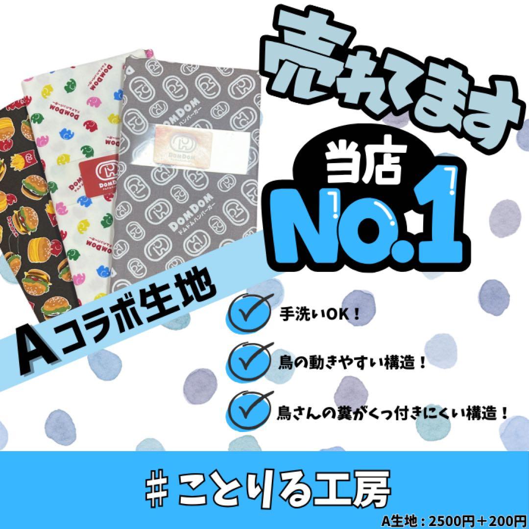 『 オーダー予約受付中 』 バードスーツ Part2