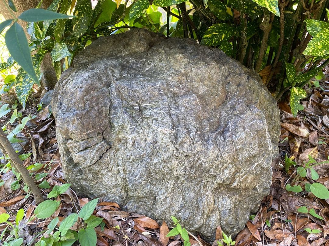 庭石 灰色 約75×80×45㎝ 自然石【石川県引き取り限定】まとめ割