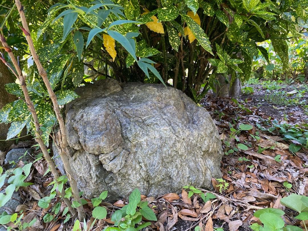 庭石 灰色 約75×80×45㎝ 自然石【石川県引き取り限定】まとめ割