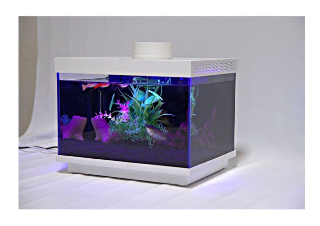LEDガラス水槽 自動給餌・温度調整付き