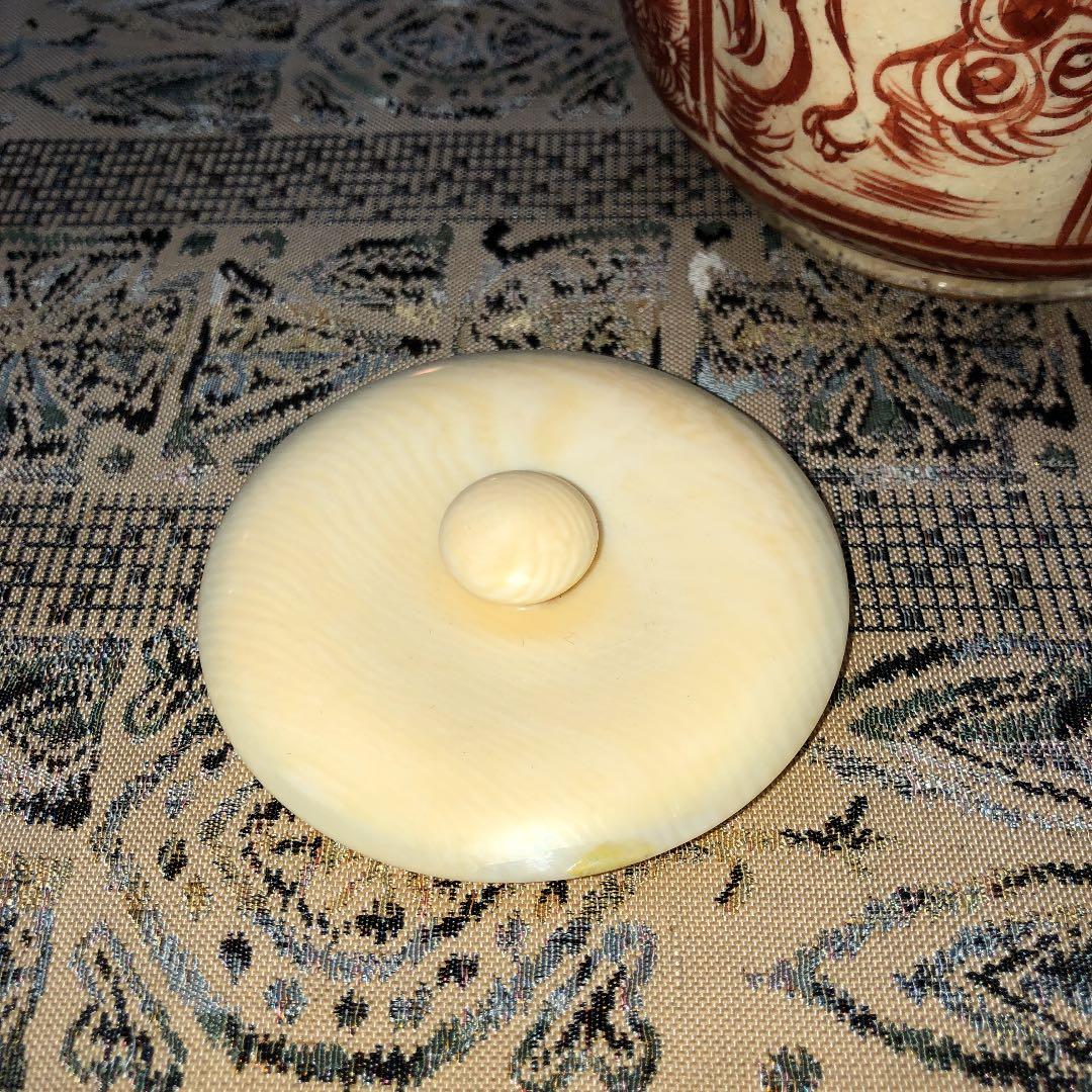 赤絵　水注　時代　合わせ箱　牙蓋