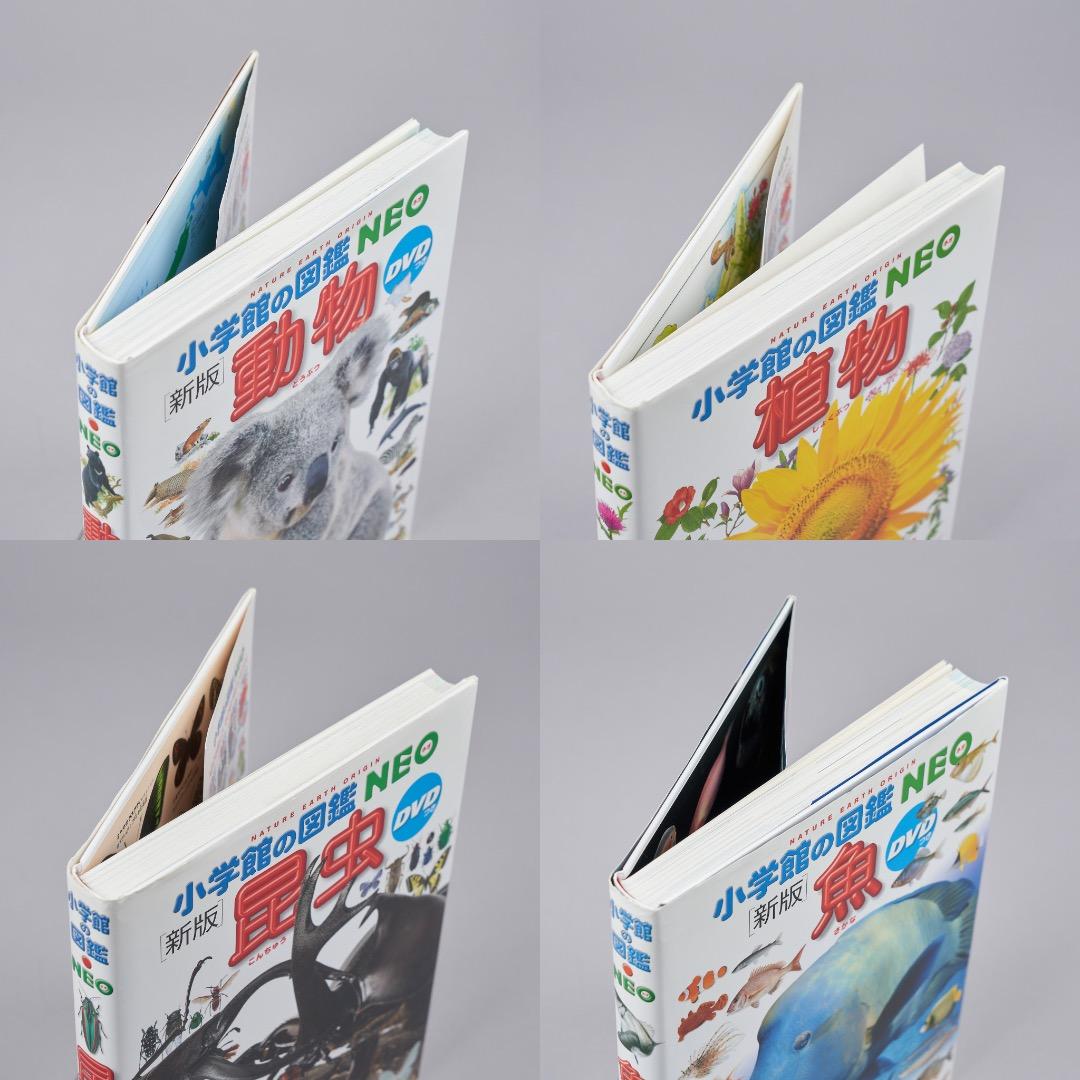 小学館の図鑑NEO 20冊セット