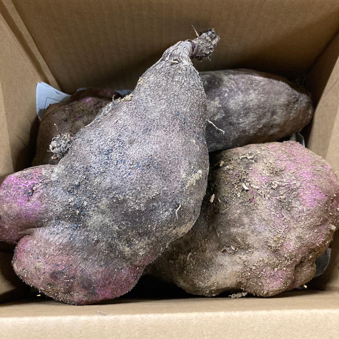 えま和歌山県産紫つくね芋20kg