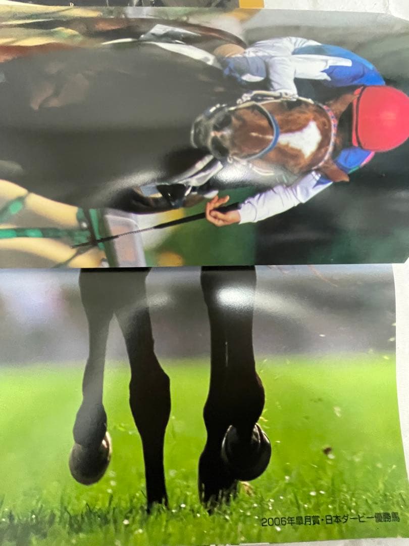 レーシングプログラム記念