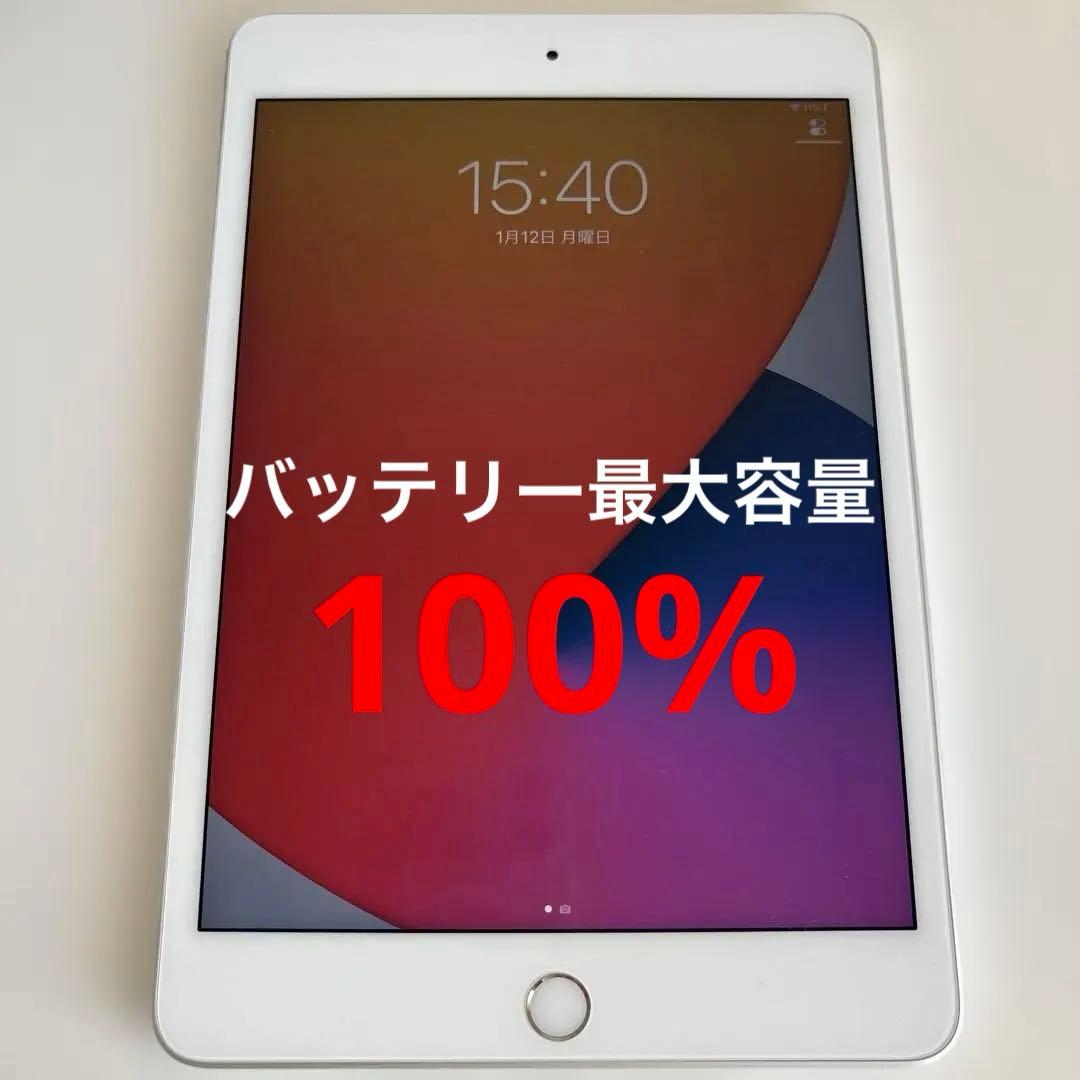 【超美品】iPad mini5 Wi-Fi+Cellular モデル 64GB