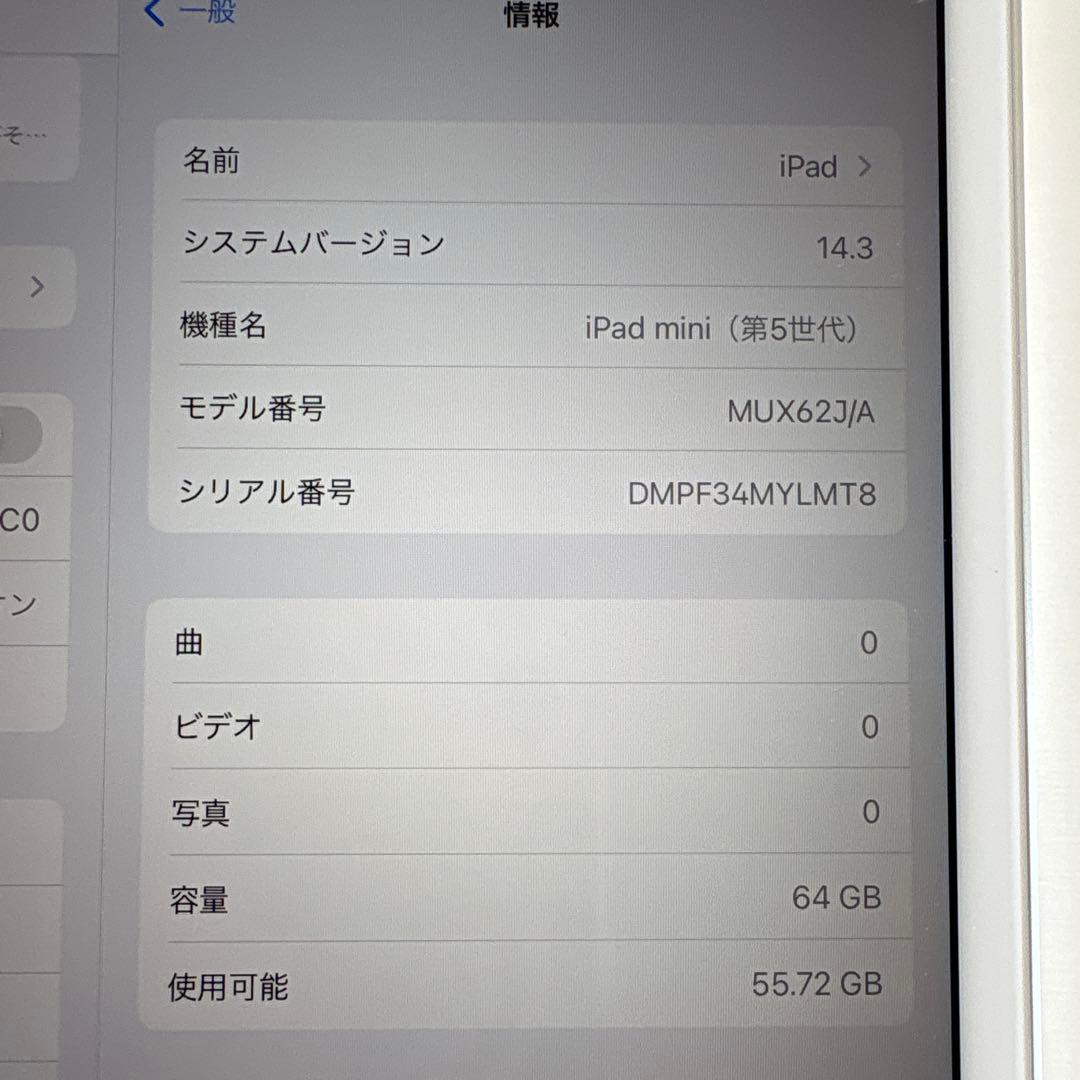【超美品】iPad mini5 Wi-Fi+Cellular モデル 64GB