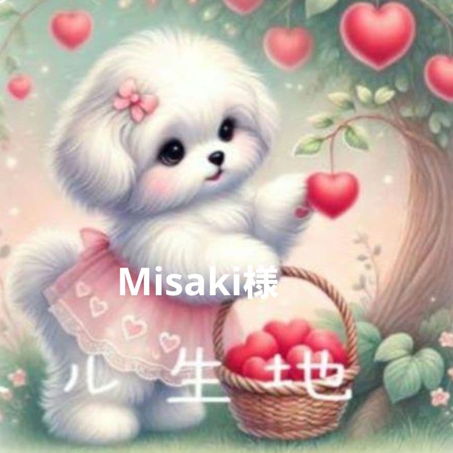Misaki様確認用