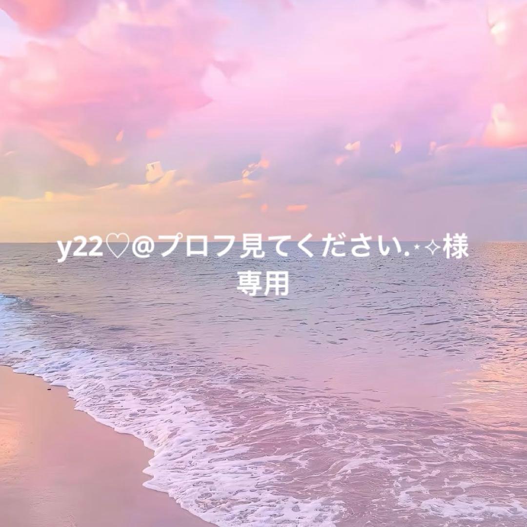 zeroni フラットぬいぐるみ　ゼロニzb1 ハニ二　hanini バッグ