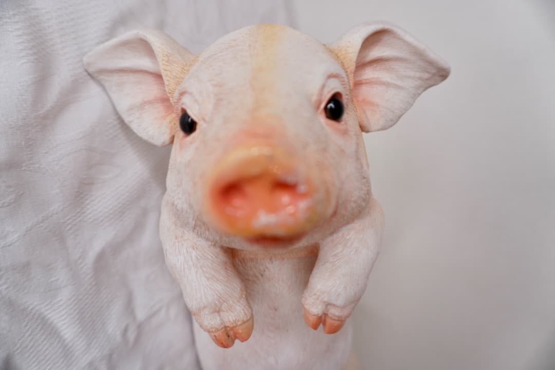 ブタさんのオブジェ 引っ掛けられる インテリア 置物