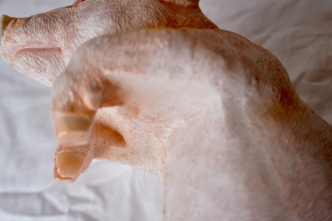 ブタさんのオブジェ 引っ掛けられる インテリア 置物