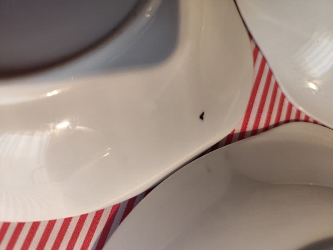 LOONEY TUNES 　グラス　　昭和レトロ　 レトロポップ　カレー皿