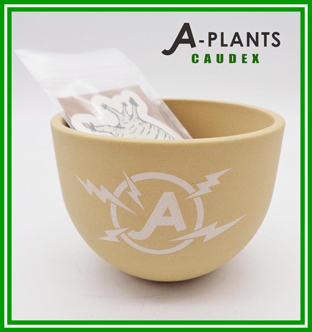 〖VALIEM+A-PLANTS POT M〗A-PLANTS 5周年記念植木鉢